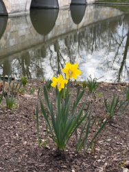 8ce6eab3-7904-4c5f-aa68-927fab8f6150