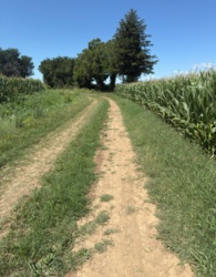 5eff4ce9-1d8e-40d5-9b59-cc3ece5b2d83