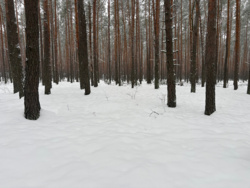 378d95e5-543b-4044-9d67-b25b83997c21