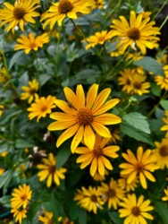 d293edd6-cde7-4e58-8934-a889b698b518