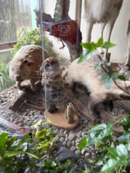 94153f0e-1591-4e19-9e69-02471f5d63d1