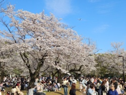 50e30af7-c321-4337-9815-8407051af6da