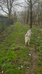 454b1079-0f42-42bf-b62f-f764f961760d