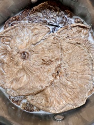 9c9a0279-6b8b-43d5-91e5-8699bed64666