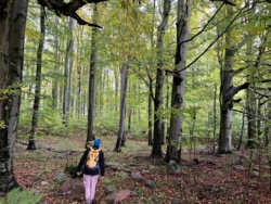 15552253-6796-41f1-afad-d40549422850