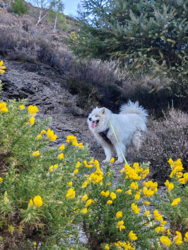 7e9ced74-fc1d-4e65-8ad9-d51c98850ec4