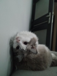 ec072a98-004d-4670-bed1-a2dbed2f221e