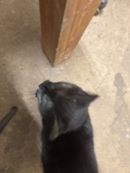 4c9d273a-1638-4c75-87d7-be04cf2ecbf6