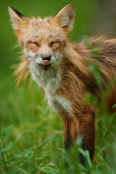 ce3e9b2f-cb09-4554-acf0-1c8a766f50fa