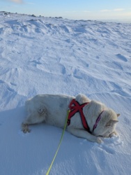 0ce03b69-6ffe-4180-b117-f61916dd3bec