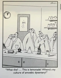 ad993386-98a2-4f21-b0d9-6627f790da0e