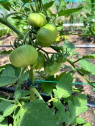 40b0b9c2-d4a2-4154-b811-442b9dd20268