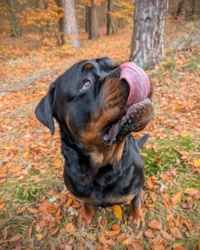 22353cd2-b27a-4f66-8bc5-a05842ac5956