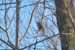 e7291ee8-6c6a-4abd-8bbf-89e1b0001e8b