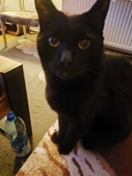 ff76bb62-48ec-4aa9-bc2d-f0911a70c79e