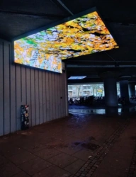 c55fc4b8-9ad1-415b-b381-031f93bd6d68