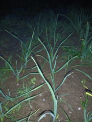 ff61f7e4-2e10-46e5-ba0a-262110a1e925