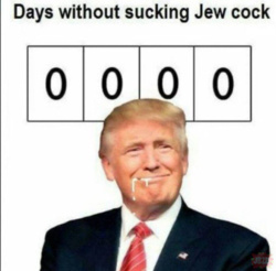 e4dc9a2f-a286-456a-97a7-290cfca97074