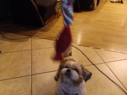 1061fae3-19df-4543-9598-0508b8059476