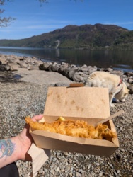 fed9e577-9f61-4fa3-bbc6-3bc2ebf7c4cb