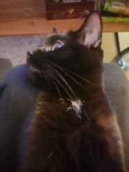 64ed2ffe-2232-4dae-9c29-516dfcf373a0