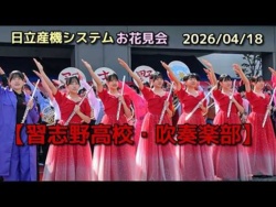 Narashino High School - Hitachi Industrial Equipment Systems Cherry Blossom Viewing Party, 2026-04-18