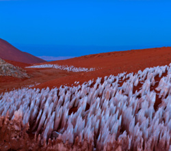 eccaab7e-a09c-4308-8baa-d6042a6d4a98