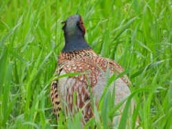 7869c5a2-85fa-44bf-9ba3-759fc56844c3