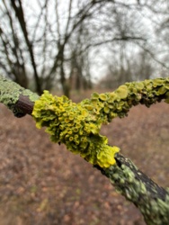 b3e2e4c2-570f-431d-9aff-9812a866914b