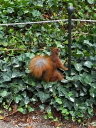 3b91d3a3-cd77-4aed-9898-c997b5117ba3