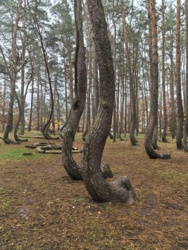 7fb1ad6e-6ff5-4a8f-b0f3-e11f561e4b4c