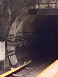 cf611b7d-5ce1-4af3-bee0-c7f6779ca107