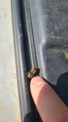 61b1429a-4a98-4f7e-a002-7949e1e56f72