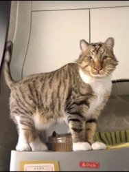 eed128c5-3cef-4b88-9bc0-d30dbb8411a3