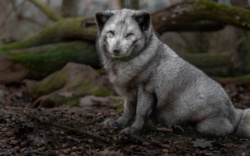 3f8addf1-fa0f-45d1-b7f5-b786a4f63ac9