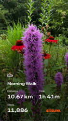 6386c6ea-b690-42f4-a16a-459b05fa2f1e