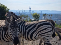 4b4ccf73-0d50-4908-b4ca-b92d056ad793