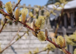 7c48c882-26f7-4910-9a66-63b79c80314b