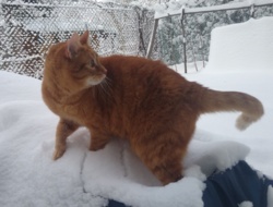 2c81e3a4-263f-41dd-988d-e5bef335826d