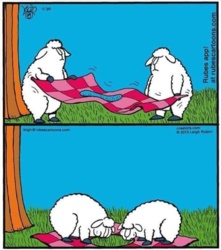 fe44af1e-ee3b-4f40-ab0d-96f8d9438709