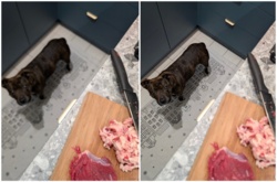 3417529d-421d-4f6b-bfb3-e7f2f2f0cc0d