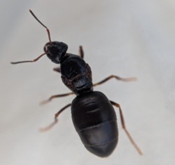 596712ca-61a3-4372-b1d9-6fbab9df6aeb