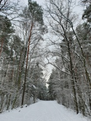 a444daf6-0030-4ea6-b271-2dde7ccd6565