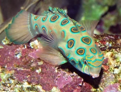 bdbd3e67-8704-428b-bcdd-b0e2d1a69c74