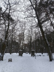 1d339665-6017-4177-b289-655ff0184284