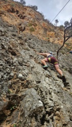 561b29f2-25bd-4cc4-9a32-4e8e7f2bbd33