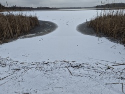 45fc458d-f4cc-493a-b5f3-e088b41b69e9