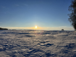 1a0ab238-8273-4c72-913c-d3d90f3bf242