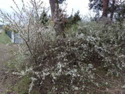 aaf456ad-f590-42b9-880c-30e29f43b1dd