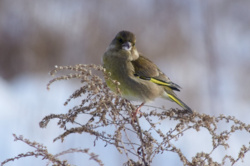 d31d502f-4cf6-4604-8742-5b52859be449